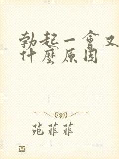 勃起一会又软了什么原因