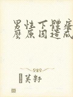 男性下体瘙痒什么原因造成的