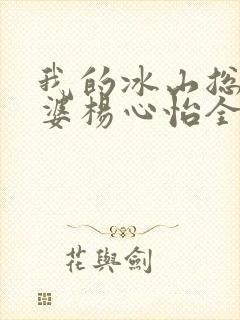 我的冰山总裁老婆杨心怡全集