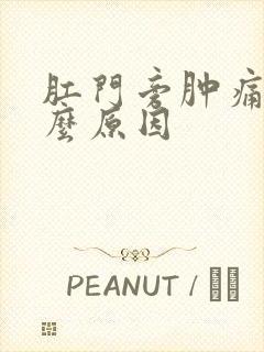 肛门旁肿痛是什么原因