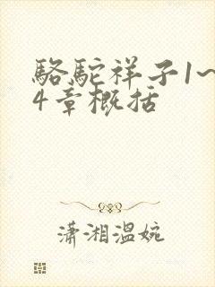 骆驼祥子1~24章概括