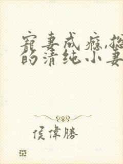 宠妻成瘾,总裁的清纯小妻