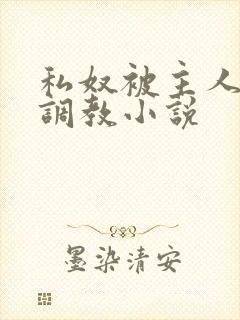 私奴被主人玩弄调教小说