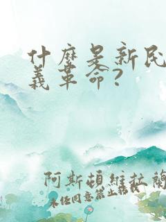 什么是新民主主义革命?