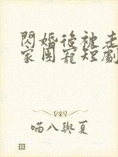 闪婚后被老公全家团宠短剧100集免费观看