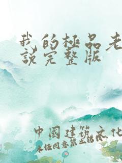 我的极品老婆小说完整版