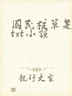 国民校草是女生txt小说