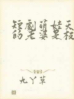 短剧萌娃天降我的老婆是校花