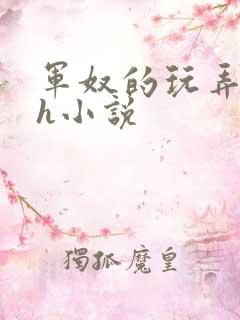 军奴的玩弄调教h小说