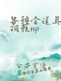 各种含道具高h调教np