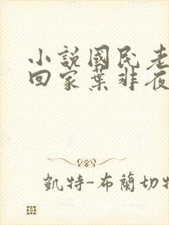 小说国民老公带回家叶非夜