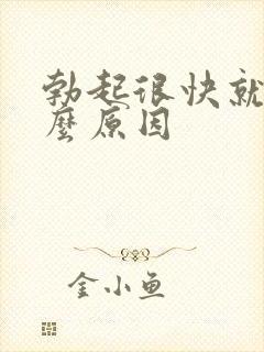 勃起很快就软什么原因