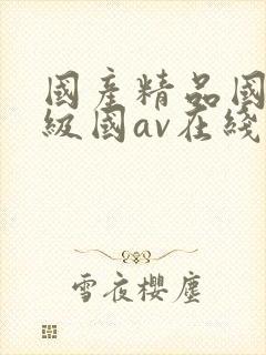 国产精品国产三级国av在线观看