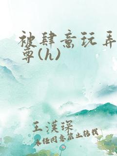 被肆意玩弄的师尊(h)