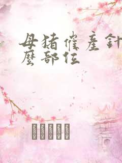 母猪催产针打什么部位