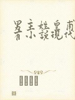 男主姓皇甫的所有小说现代言情