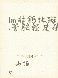 lm非钙化斑块,管腔轻度狭窄