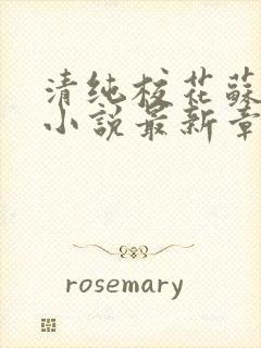 清纯校花苏绵绵小说最新章节更新列