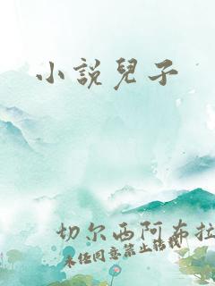 小说儿子