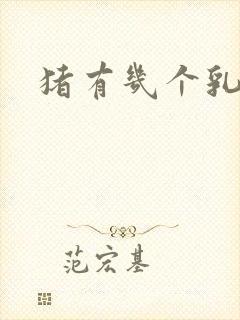 猪有几个乳头呢