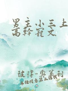 男主小三上位的高干宠文