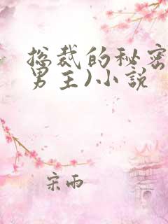 总裁的秘密(双男主)小说