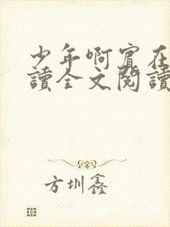 少年啊宾在线阅读全文阅读