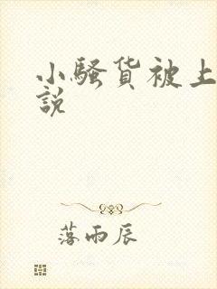 小骚货被上的小说