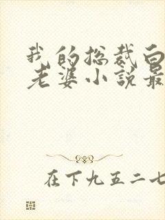 我的总裁白富美老婆小说最新更新