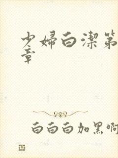 少妇白洁第二十章