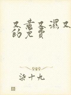 又黄又湿又高潮的免费