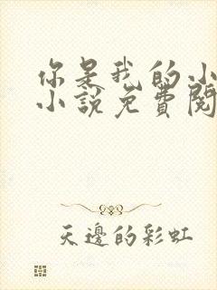 你是我的小确幸小说免费阅读全文