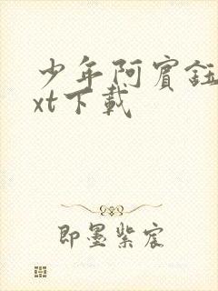 少年阿宾钰慧txt下载