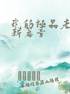 我的极品老婆最新篇章