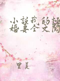 小说我的极品未婚妻全文阅读