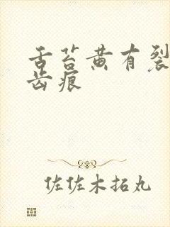 舌苔黄有裂纹有齿痕