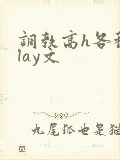 调教高h各种play文