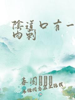 阴道口有一个小肉刺