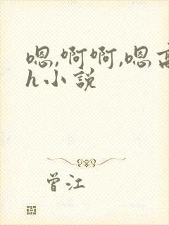 嗯,啊啊,嗯高h小说