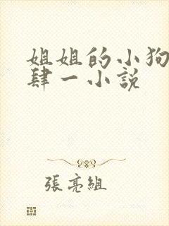 姐姐的小狗by肆一小说