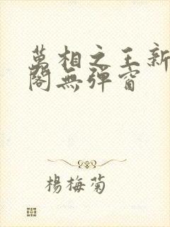 万相之王新笔趣阁无弹窗