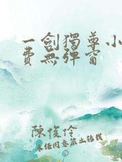 一剑独尊小说免费无弹窗