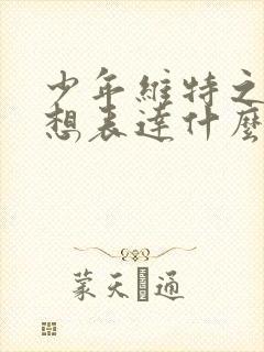 少年维特之烦恼想表达什么