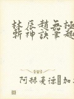 林辰赵无极九天斩神诀笔趣阁