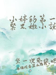 小婷的第一次又紧又嫩小说叫什么