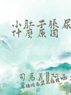 小肚子胀尿多是什么原因