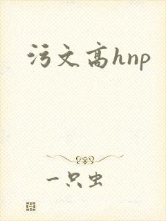 污文高hnp