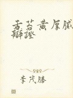 舌苔黄厚腻中医辩证