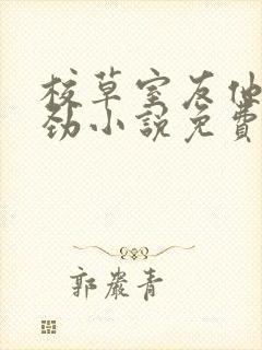 校草室友他不对劲小说免费