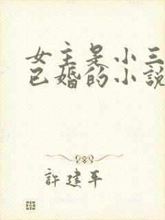 女主是小三男主已婚的小说推荐